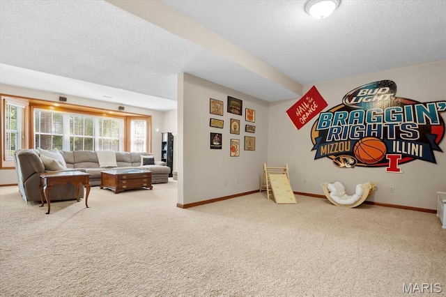 3754 Boatmans Pt, Shiloh, IL 62221 - photo 41