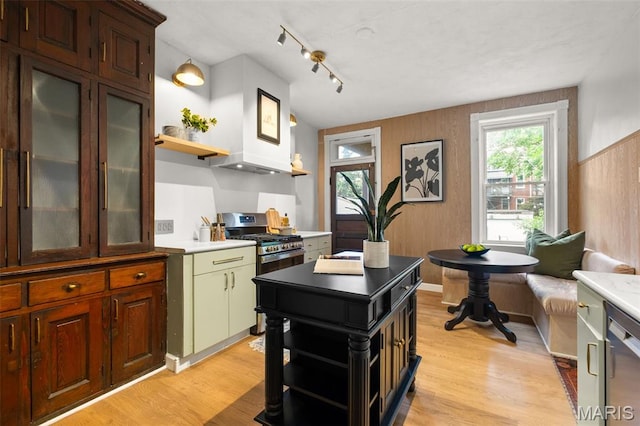 2929 Victor St, Saint Louis, MO 63104 - kitchen featuring open shelves, stainless steel appliances, light wood-style floors, and light countertops