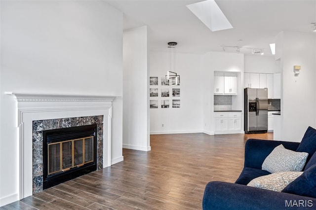 4570 Laclede Ave Unit 301, Saint Louis, MO 63108 - living area with a skylight, wood finished floors, and a high end fireplace
