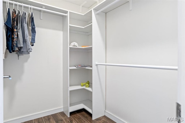 4570 Laclede Ave Unit 301, Saint Louis, MO 63108 - spacious closet featuring dark wood-style floors