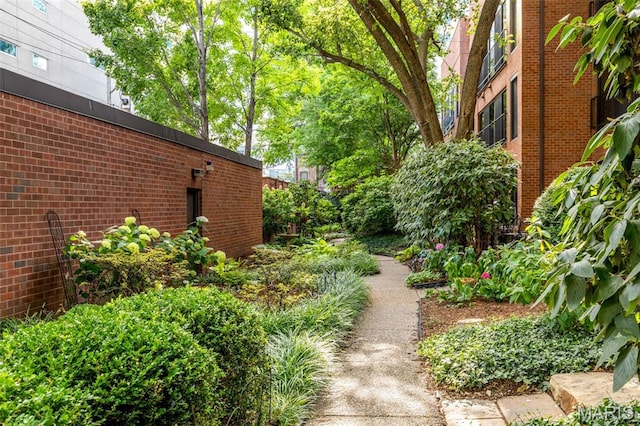 4570 Laclede Ave Unit 301, Saint Louis, MO 63108 - view of yard