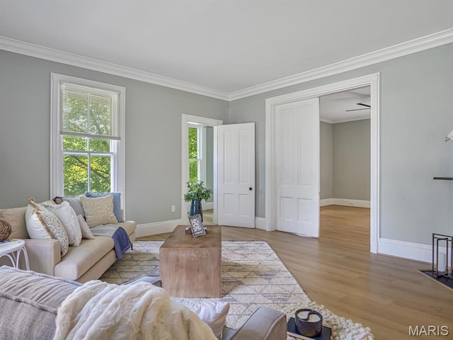 1734 Seminary St, Alton, IL 62002 - living room featuring plenty of natural light, ornamental molding, and light wood finished floors