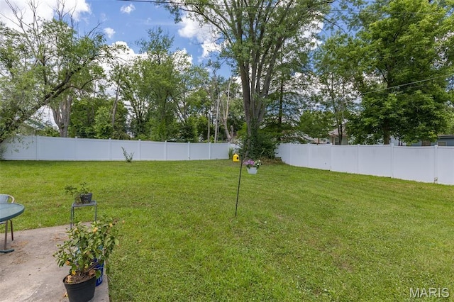 39 Pine St, Farmington, MO 63640 - view of yard