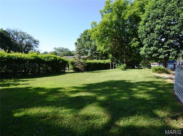 1406 Marshall Rd, Kirkwood, MO 63122 - view of grassy yard