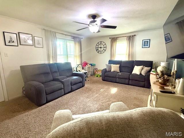 902 Sycamore St, Germantown, IL 62245 - living room featuring carpet floors, plenty of natural light, ceiling fan, and crown molding