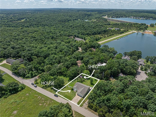 1221 Napoleon Dr, Bonne Terre, MO 63628 - aerial view of property's location with a heavily wooded area and property boundaries highlighted