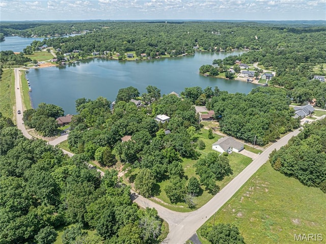 1221 Napoleon Dr, Bonne Terre, MO 63628 - drone / aerial view of a heavily wooded area and a large body of water