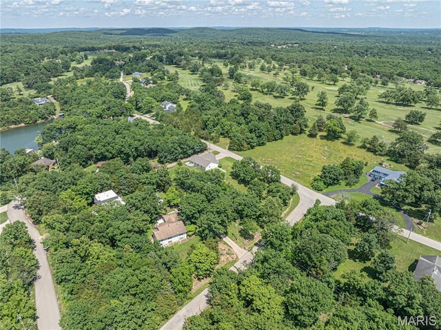 1221 Napoleon Dr, Bonne Terre, MO 63628 - drone / aerial view of a forest