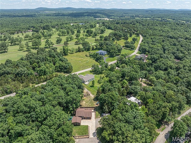 1221 Napoleon Dr, Bonne Terre, MO 63628 - aerial view of a heavily wooded area