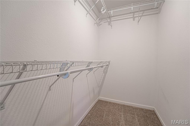1221 Napoleon Dr, Bonne Terre, MO 63628 - walk in closet with carpet flooring
