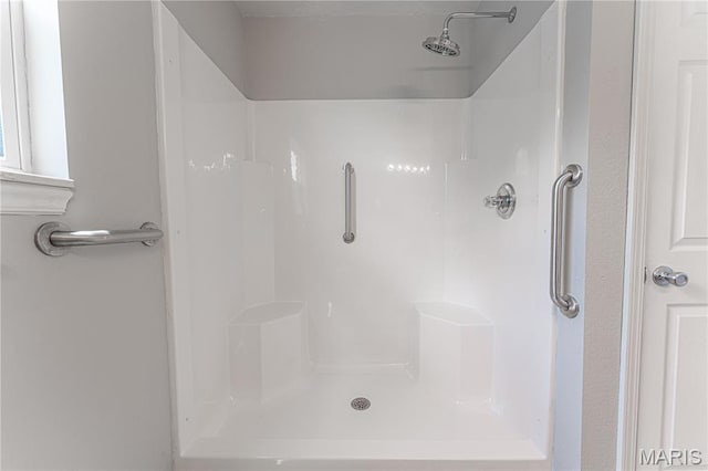1221 Napoleon Dr, Bonne Terre, MO 63628 - full bath featuring a shower