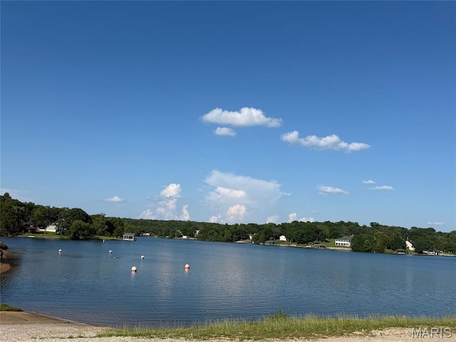 1221 Napoleon Dr, Bonne Terre, MO 63628 - water view