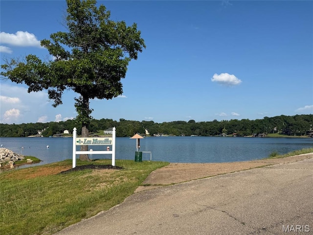 1221 Napoleon Dr, Bonne Terre, MO 63628 - water view