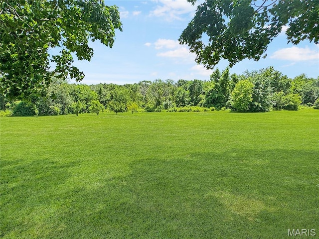 360 David Dr, Washington, MO 63090 - view of grassy yard