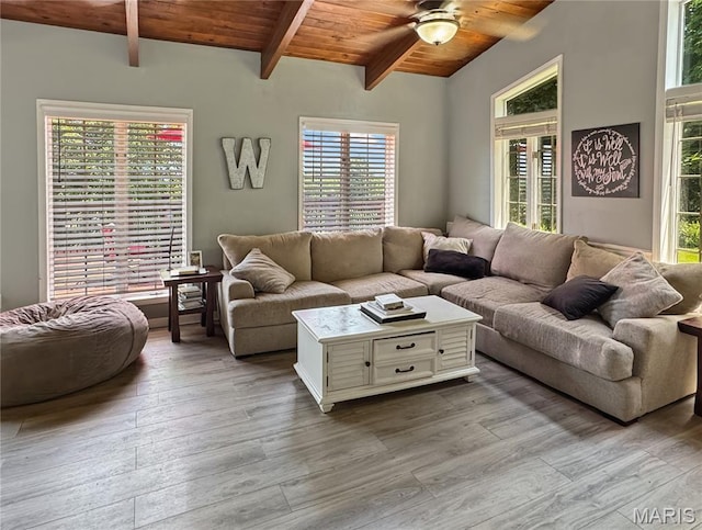 360 David Dr, Washington, MO 63090 - living area featuring wooden ceiling, wood finished floors, ceiling fan, and plenty of natural light