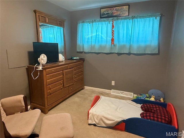 16 Fair Oaks Dr, Hannibal, MO 63401 - photo 21