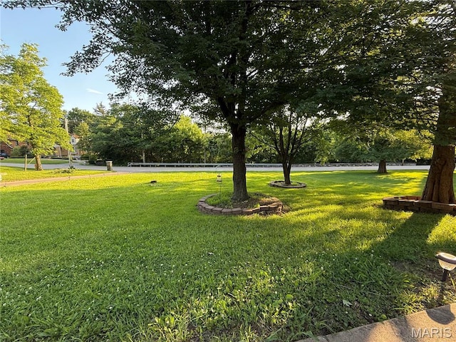 10755 Kennerly Rd, Sunset Hills, MO 63128 - view of green lawn with view of scattered trees