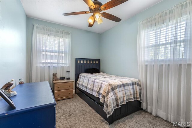 871 Vreeland Rd, Hillsboro, MO 63050 - photo 11