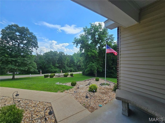 219 Sandstone Ct, Festus, MO 63028 - photo 92
