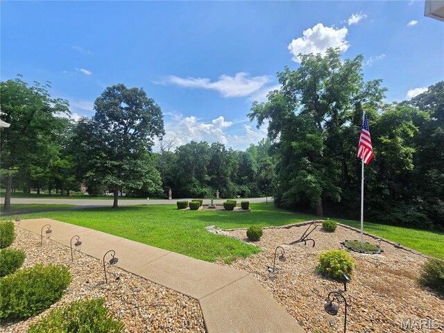 219 Sandstone Ct, Festus, MO 63028 - photo 93