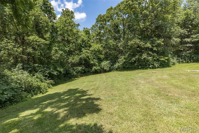 219 Sandstone Ct, Festus, MO 63028 - photo 11