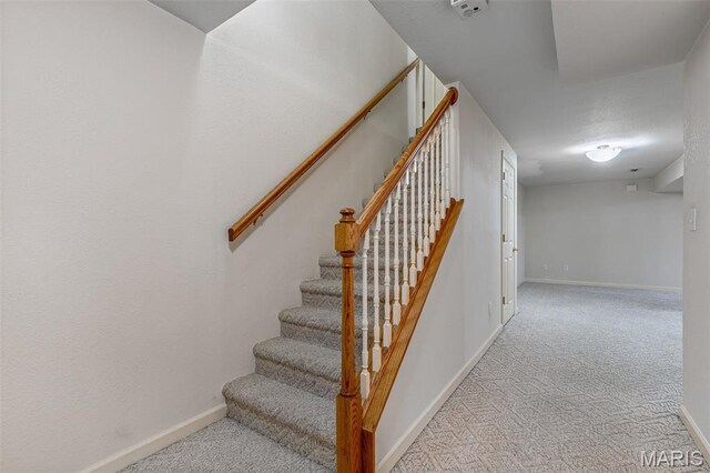 219 Sandstone Ct, Festus, MO 63028 - photo 50
