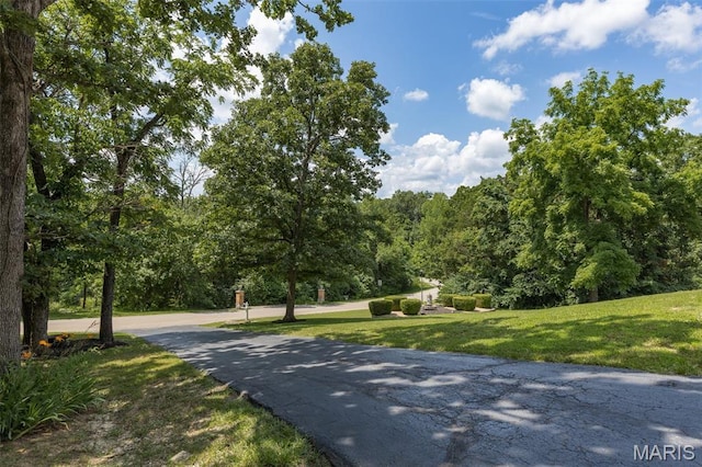 219 Sandstone Ct, Festus, MO 63028 - photo 82
