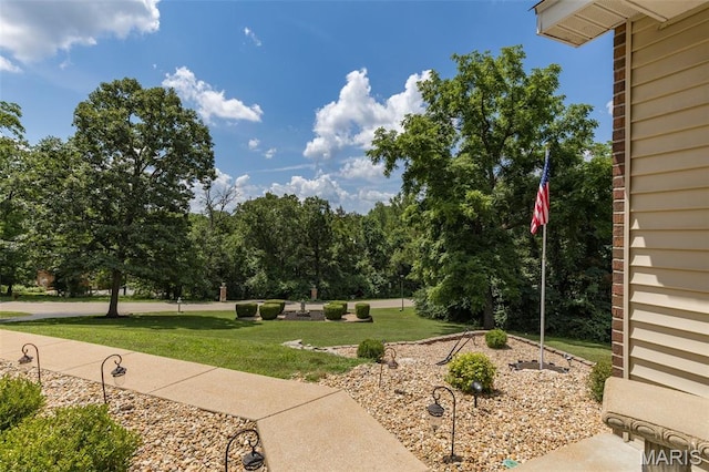 219 Sandstone Ct, Festus, MO 63028 - photo 85