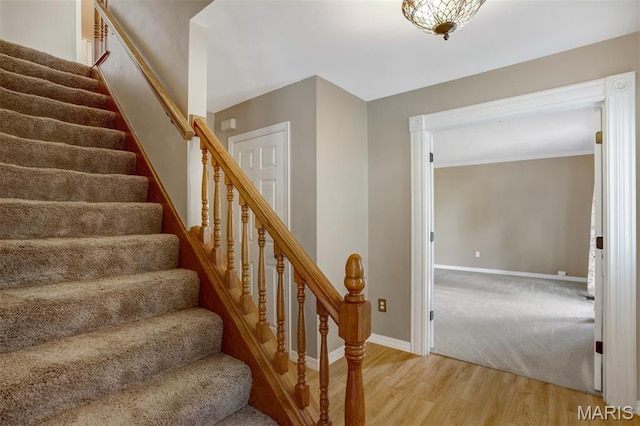 16550 Green Pines Dr, Wildwood, MO 63011 - photo 3