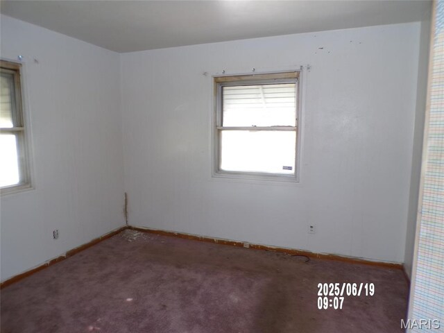 10109 Royal Dr, Saint Louis, MO 63136 - photo 7