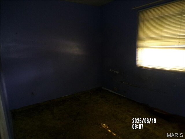 10109 Royal Dr, Saint Louis, MO 63136 - photo 8