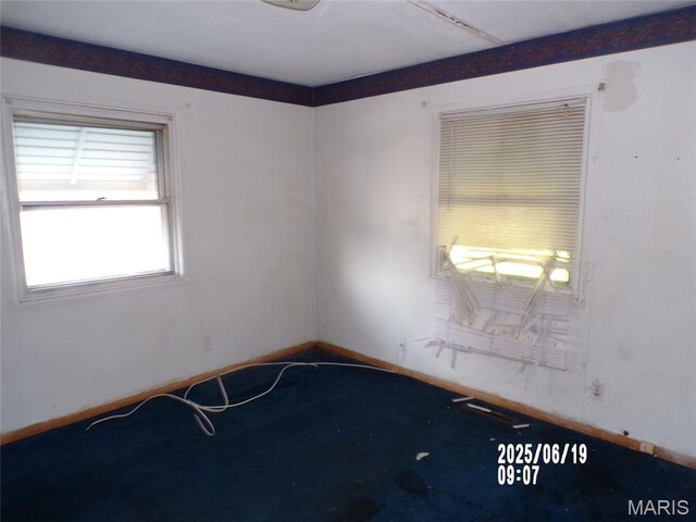 10109 Royal Dr, Saint Louis, MO 63136 - photo 10
