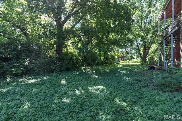 1412 Bremen Ave, Saint Louis, MO 63107 - view of green lawn