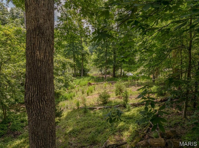 185 Hirshweg, Innsbrook, MO 63390 - view of tree filled area