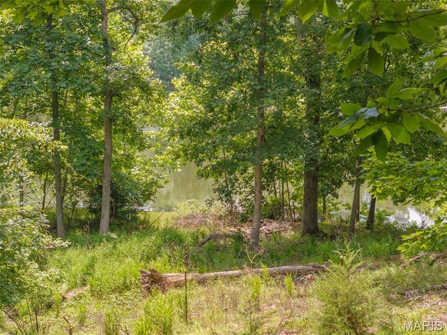 185 Hirshweg, Innsbrook, MO 63390 - view of local wilderness