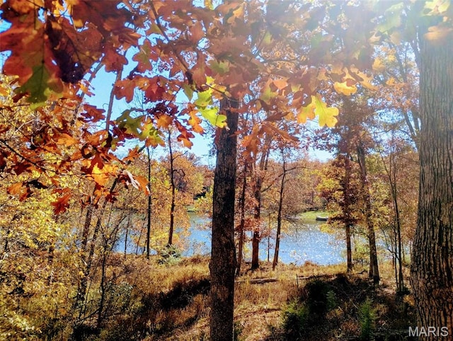 185 Hirshweg, Innsbrook, MO 63390 - water view