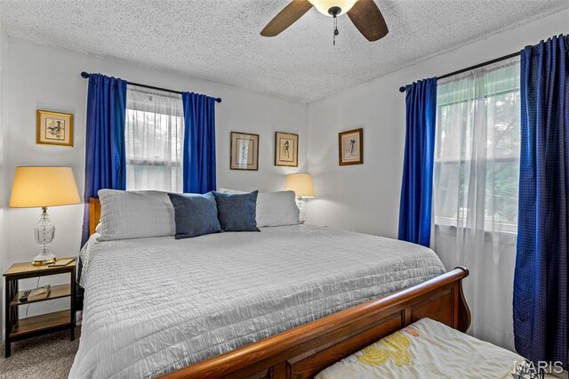550 Dorothy St, Farmington, MO 63640 - photo 18