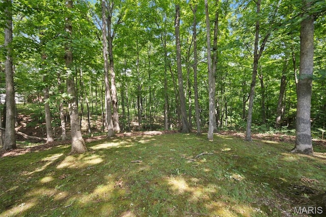 6235 Meadowlark Ln, Troy, MO 63379 - view of yard