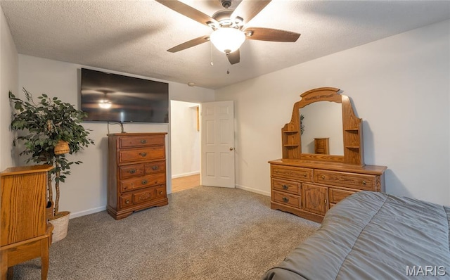 20 Berryman Cutoff Rd, Steelville, MO 65565 - photo 19