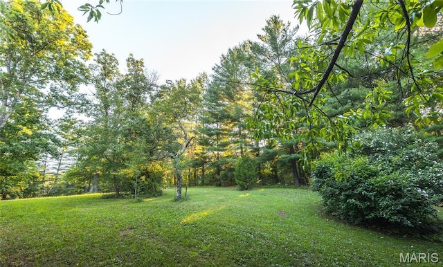 20 Berryman Cutoff Rd, Steelville, MO 65565 - photo 35