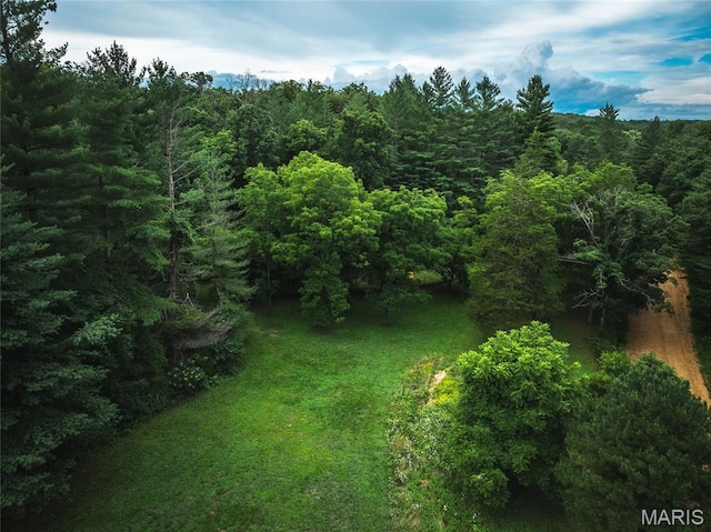 20 Berryman Cutoff Rd, Steelville, MO 65565 - photo 47