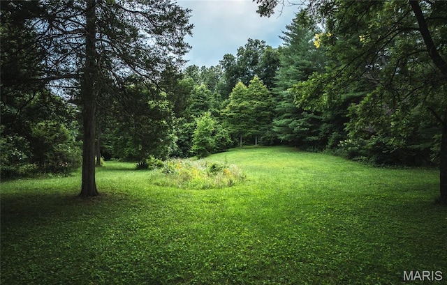 20 Berryman Cutoff Rd, Steelville, MO 65565 - photo 49