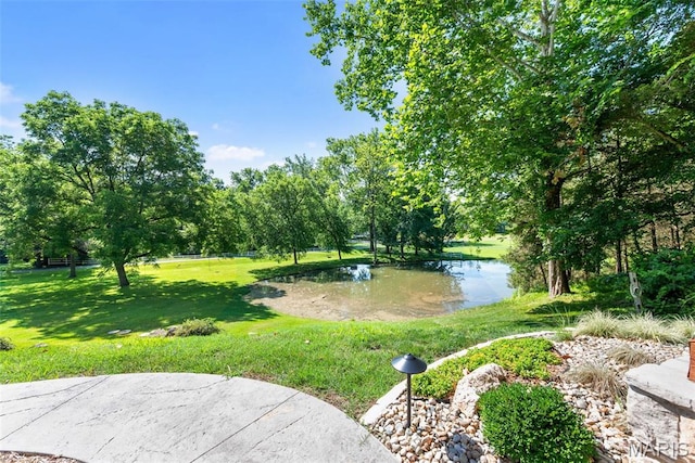 727 Madison Vly, Wildwood, MO 63005 - view of green lawn featuring a water view