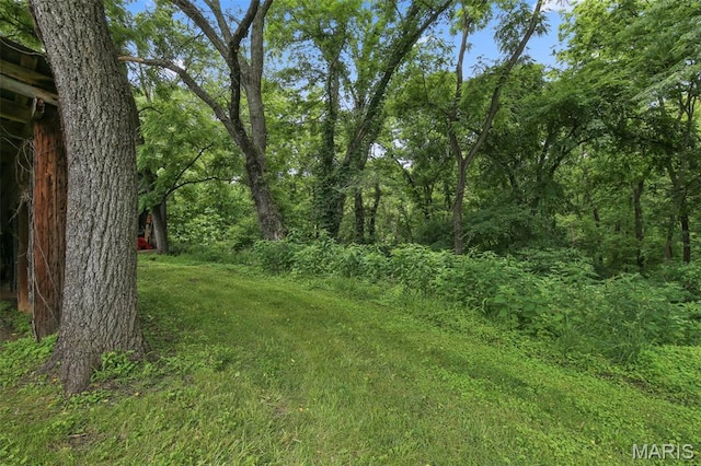 727 Madison Vly, Wildwood, MO 63005 - view of yard