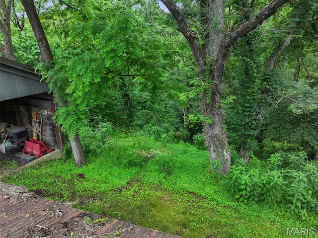727 Madison Vly, Wildwood, MO 63005 - view of yard with an outbuilding and a forest view