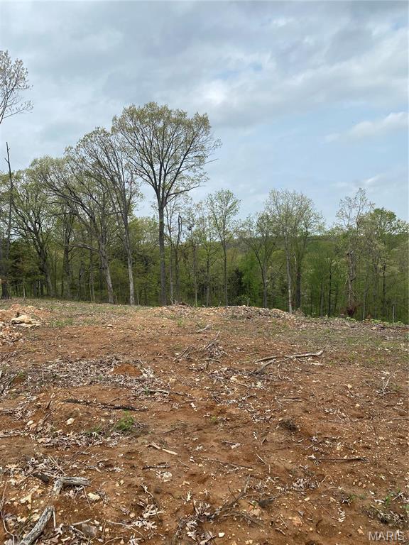 8819 Helujon Acres Dr, Hillsboro, MO 63050 - photo 1