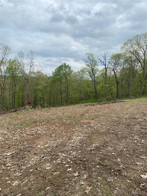 8819 Helujon Acres Dr, Hillsboro, MO 63050 - photo 2