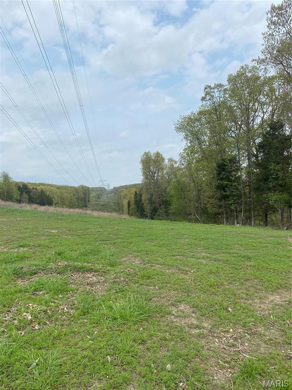 8819 Helujon Acres Dr, Hillsboro, MO 63050 - photo 3
