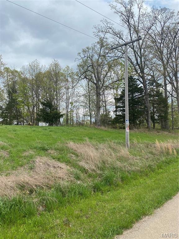 8819 Helujon Acres Dr, Hillsboro, MO 63050 - photo 4