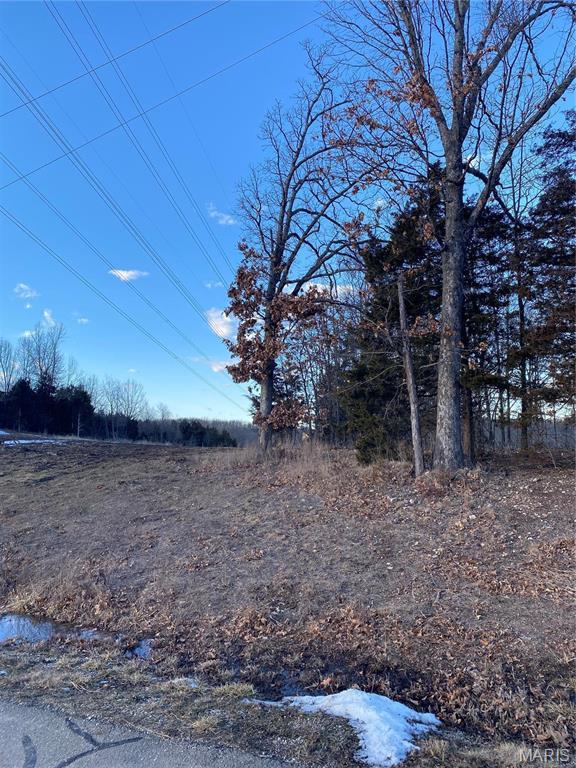8819 Helujon Acres Dr, Hillsboro, MO 63050 - photo 10